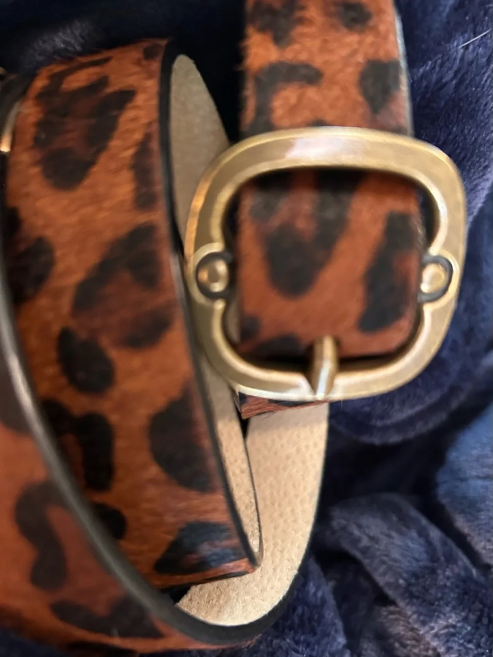 Coldwater Creek Leopard Haircalf Belt with Brass Buckle - Brown/Black - Picture 7 of 11